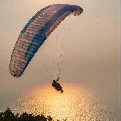 Leaf 3 Light Leaf 3 Light